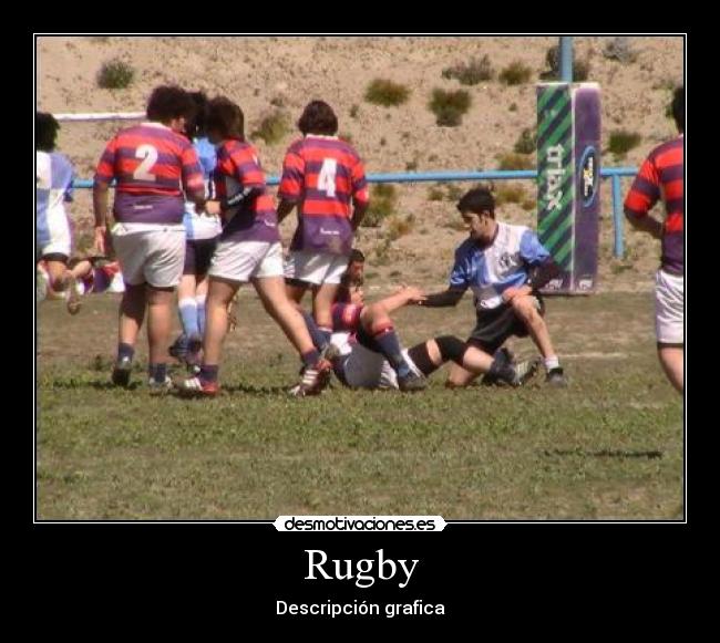 Rugby - Descripción grafica
