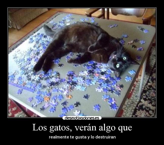 carteles gatos bfbfb desmotivaciones