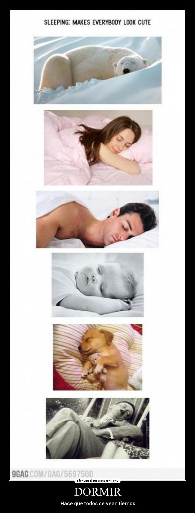 DORMIR - Hace que todos se vean tiernos