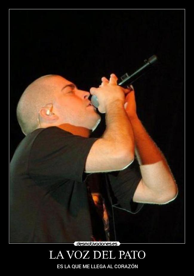 LA VOZ DEL PATO - ES LA QUE ME LLEGA AL CORAZÓN