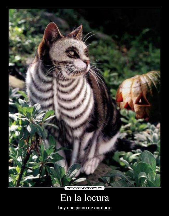 En la locura - hay una pisca de cordura.