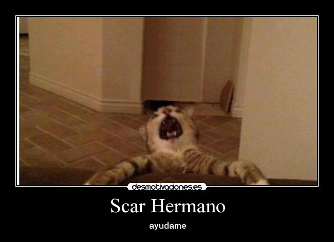 Scar Hermano -
