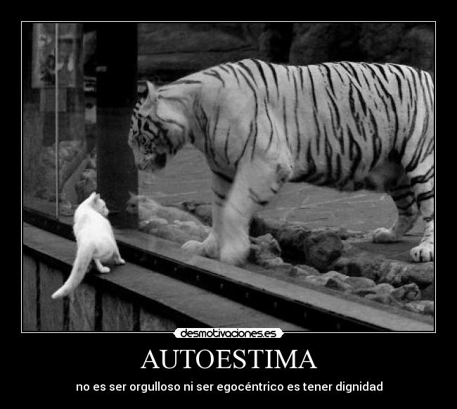 AUTOESTIMA -