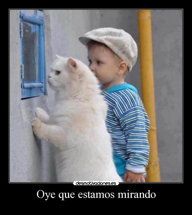 Oye que estamos mirando - 