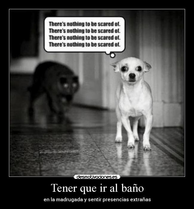 Tener que ir al baño -