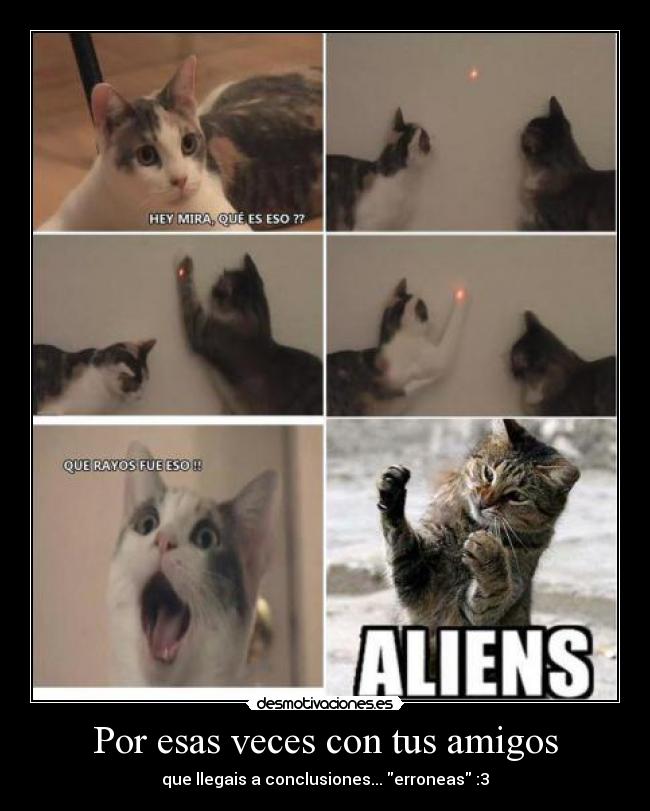 carteles amigos conclusiones erroneas gatos aliens necoco girl this cats are crazy desmotivaciones