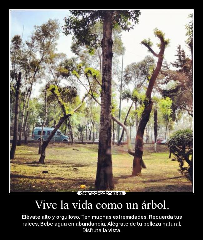 carteles vida pasos rapidos faciles por medio los cuales puedes vivir bien desmotivaciones