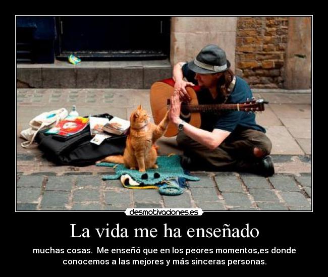 La vida me ha enseñado -