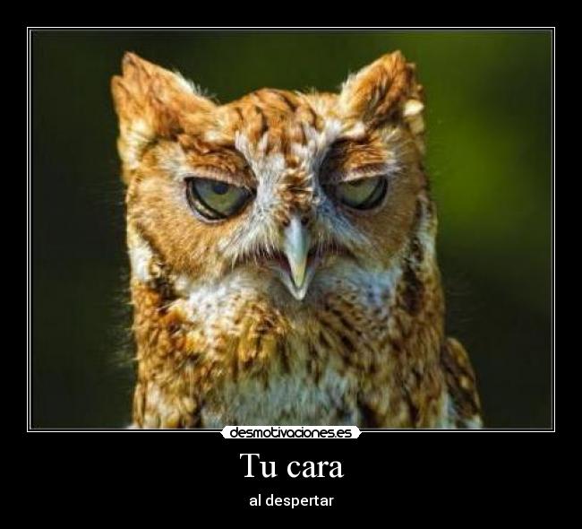 Tu cara - al despertar