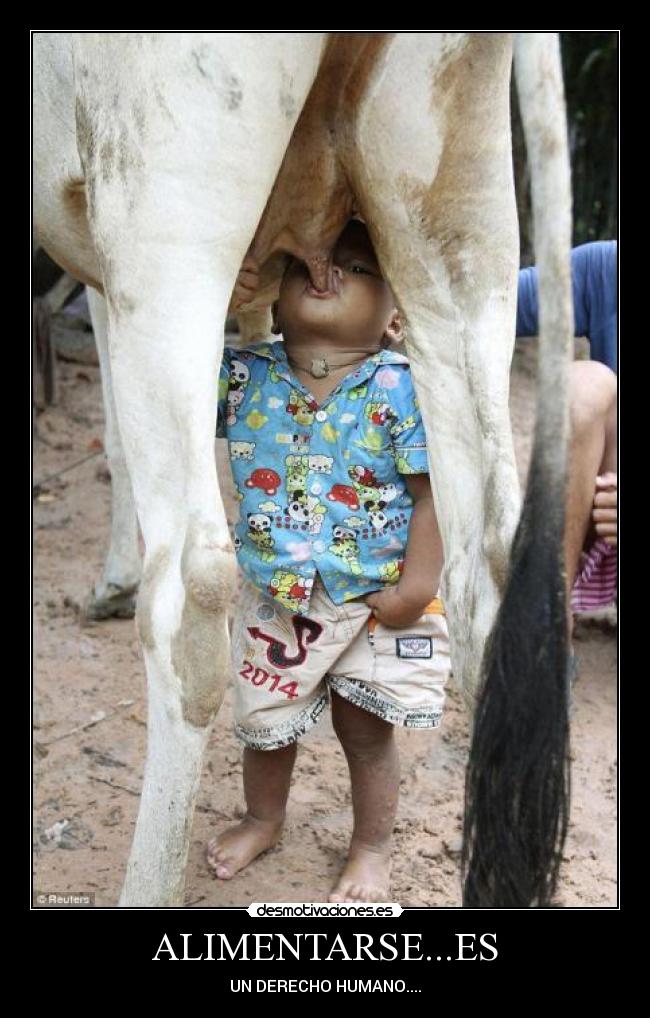 ALIMENTARSE...ES - UN DERECHO HUMANO....