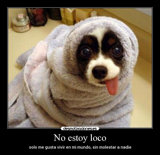 No estoy loco - solo me gusta vivir en mi mundo, sin molestar a nadie