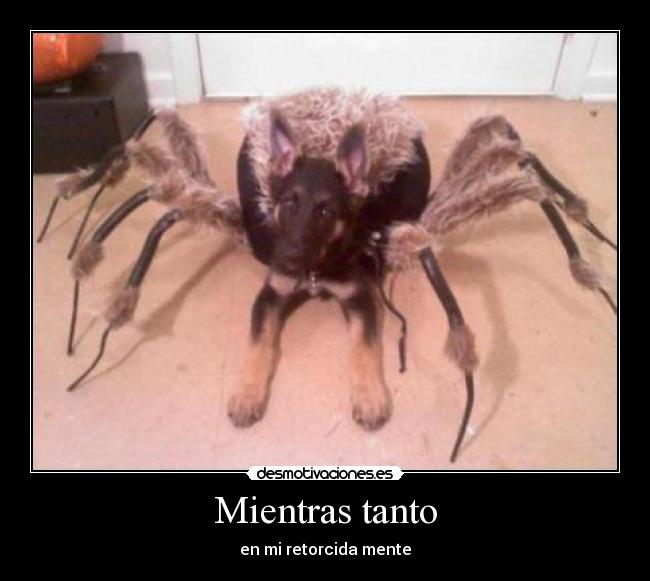 Mientras tanto - en mi retorcida mente