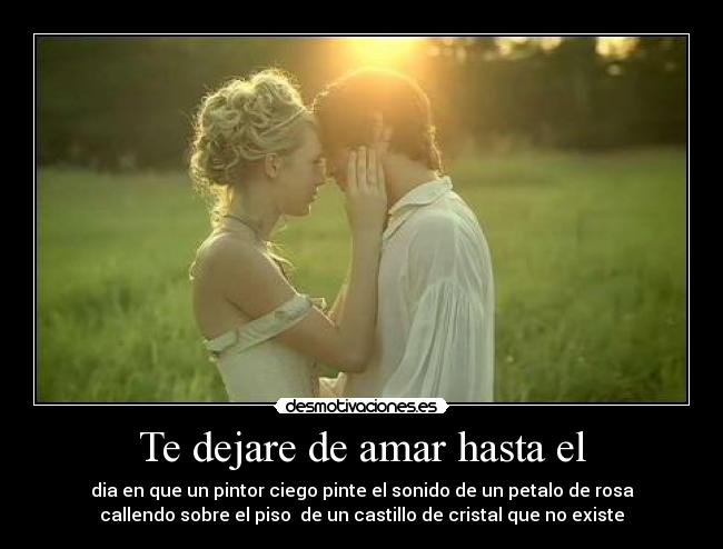 Te dejare de amar hasta el -
