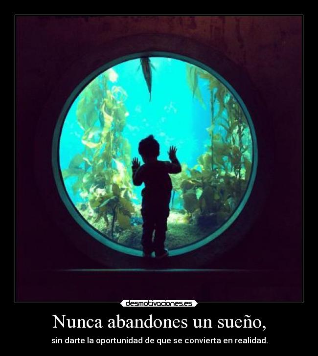 Nunca abandones un sueño, - sin darte la oportunidad de que se convierta en realidad.