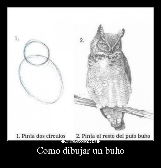 Como dibujar un buho - 