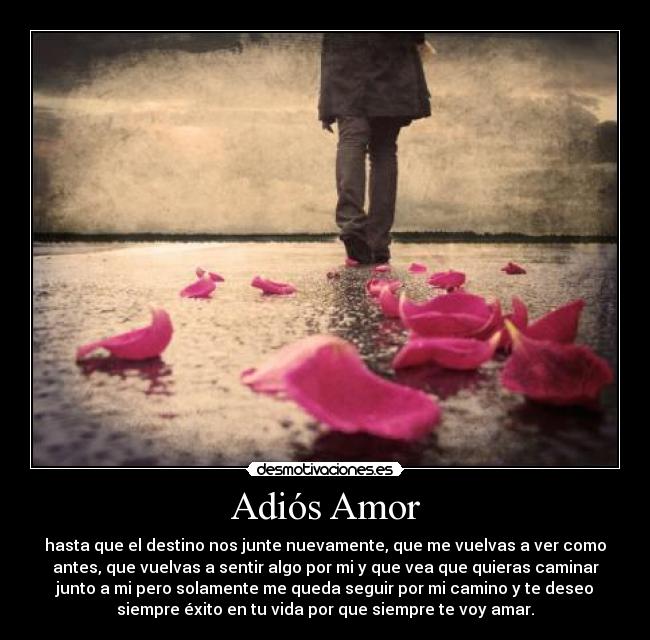 Adiós Amor - hasta que el destino nos junte nuevamente, que me vuelvas a ver como
antes, que vuelvas a sentir algo por mi y que vea que quieras caminar
junto a mi pero solamente me queda seguir por mi camino y te deseo
siempre éxito en tu vida por que siempre te voy amar.