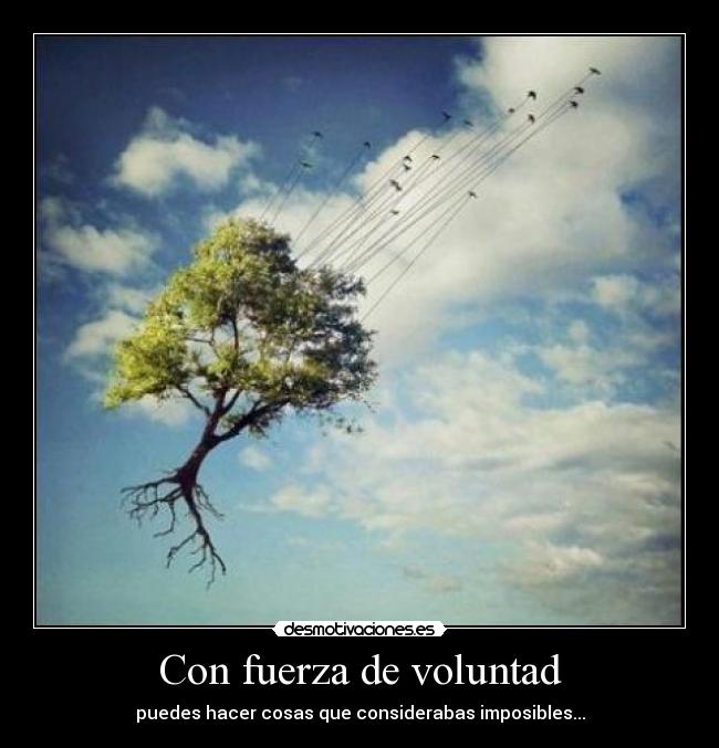 Con fuerza de voluntad - puedes hacer cosas que considerabas imposibles...