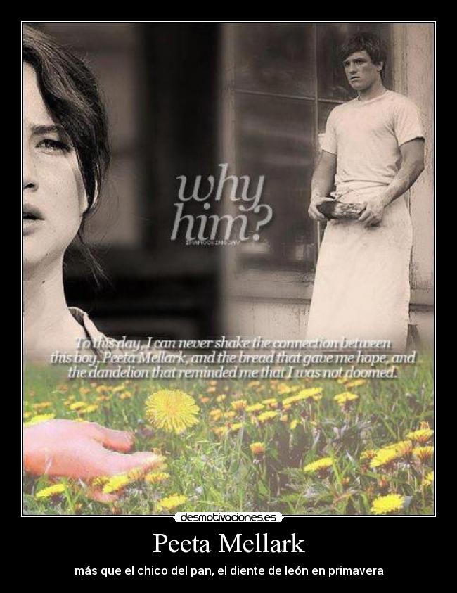 Peeta Mellark - 