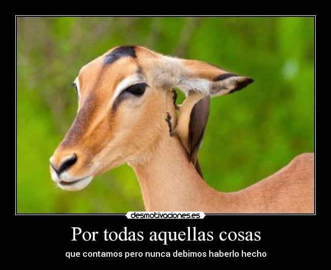 Por todas aquellas cosas - que contamos pero nunca debimos haberlo hecho