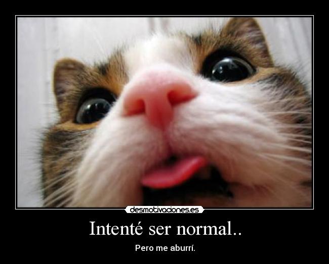 Intenté ser normal.. -