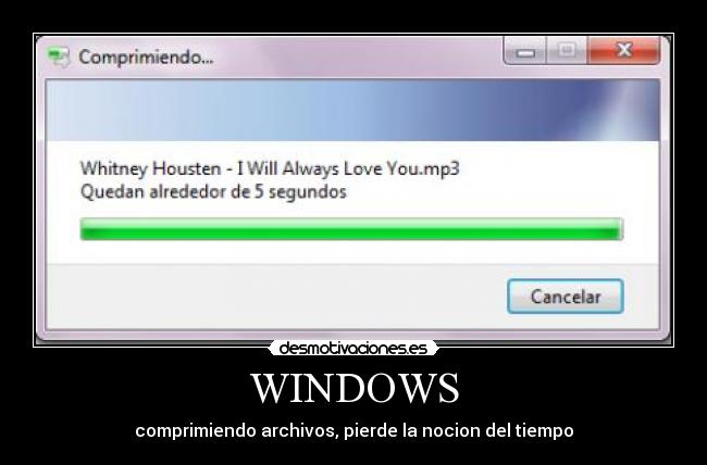 WINDOWS - 