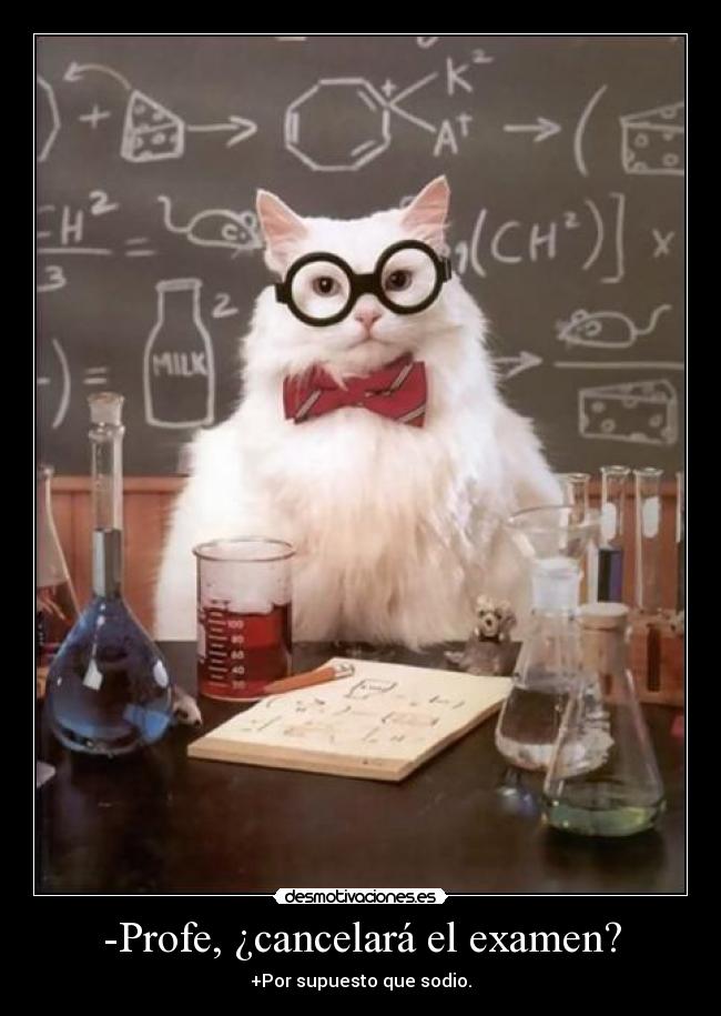 -Profe, ¿cancelará el examen? -