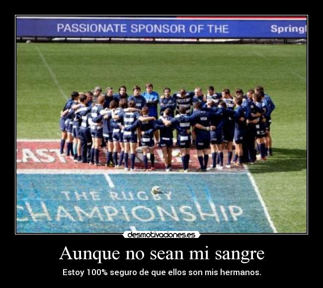 Aunque no sean mi sangre - Estoy 100% seguro de que ellos son mis hermanos.