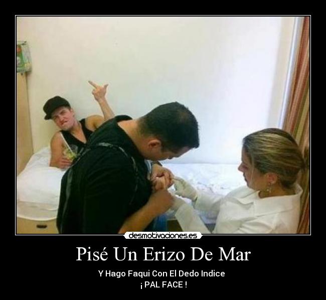 carteles btr big time rush logan pise erizo mar hago faqui con dedo indice desmotivaciones