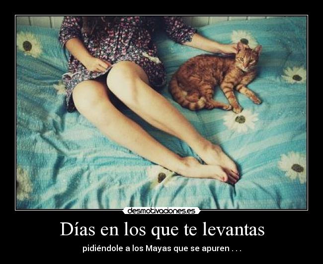 carteles desamor desmotivaciones