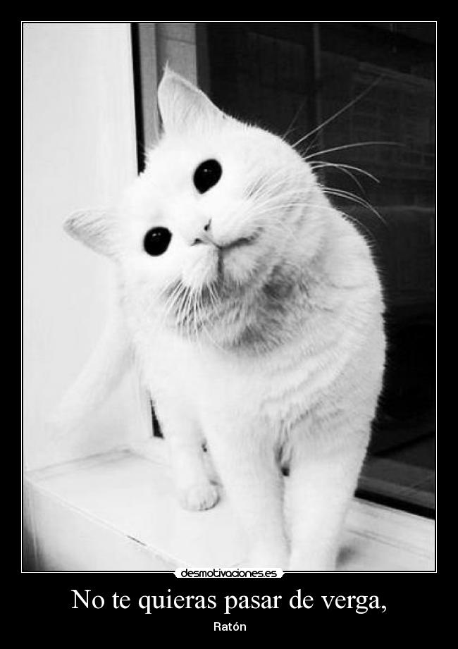 No te quieras pasar de verga, - Ratón