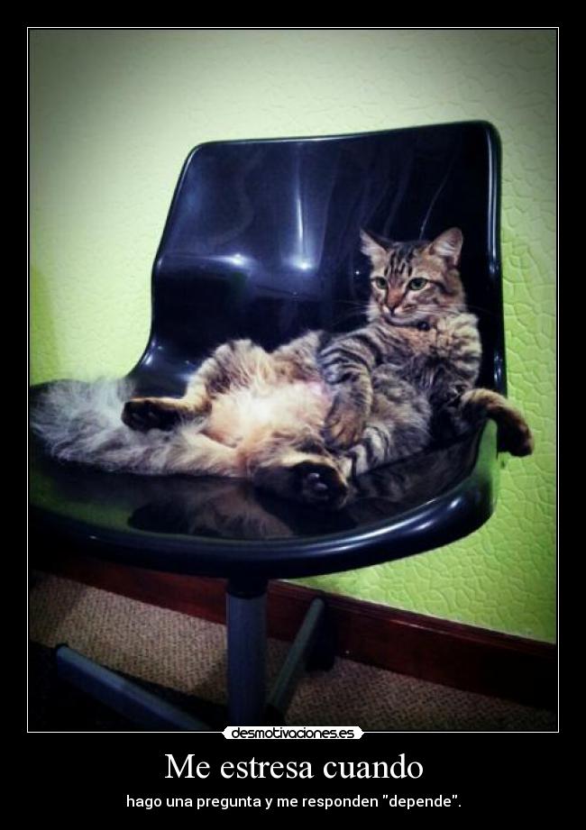 Me estresa cuando - 