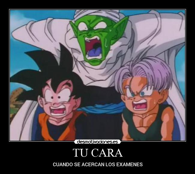 desmotivaciones gohan ssj2 tattoo pictures to pin on pinterest desmotivaciones gohan ssj2 tattoo pictures to pin on pinterest