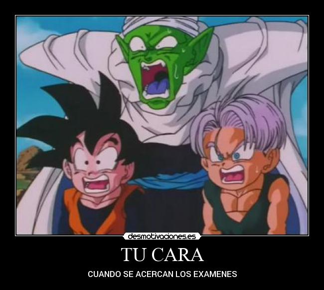 carteles dragon ball anime examenes desmotivaciones