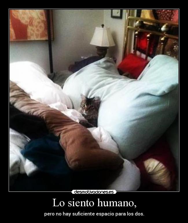Lo siento humano, - 