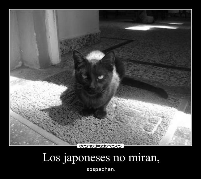 Los japoneses no miran, - sospechan.