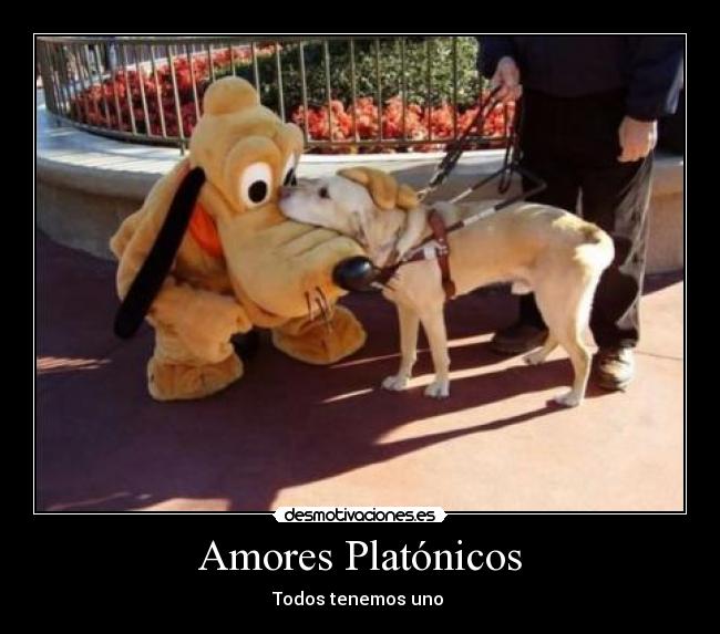 carteles notengoficio desmotivaciones