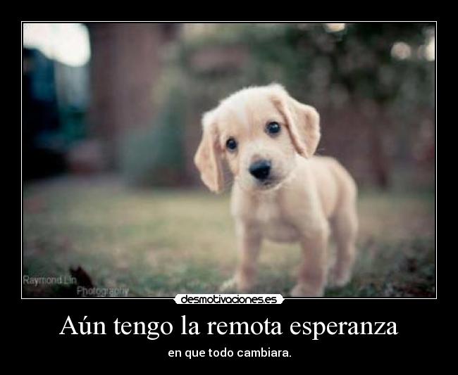 Aún tengo la remota esperanza - en que todo cambiara.