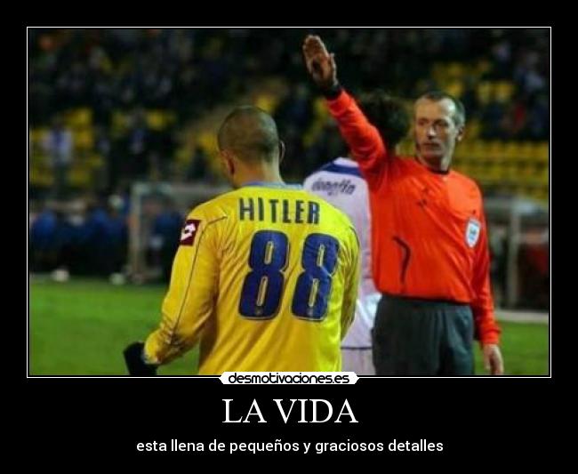 LA VIDA - esta llena de pequeños y graciosos detalles