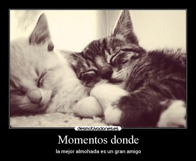 Momentos donde - 
