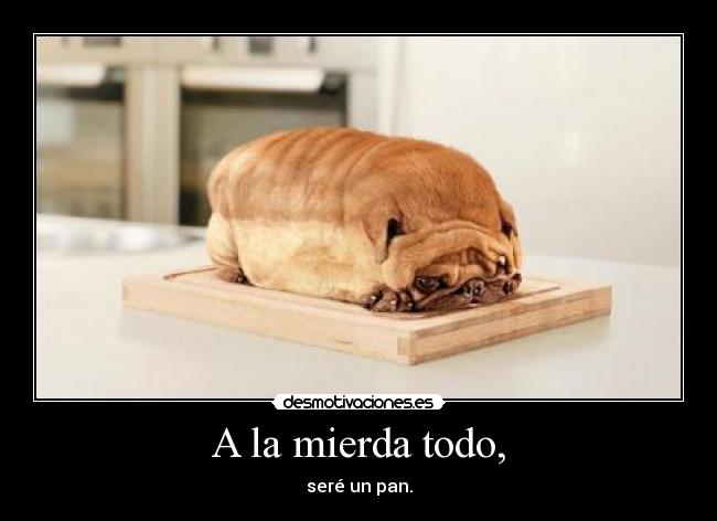 A la mierda todo, - seré un pan.