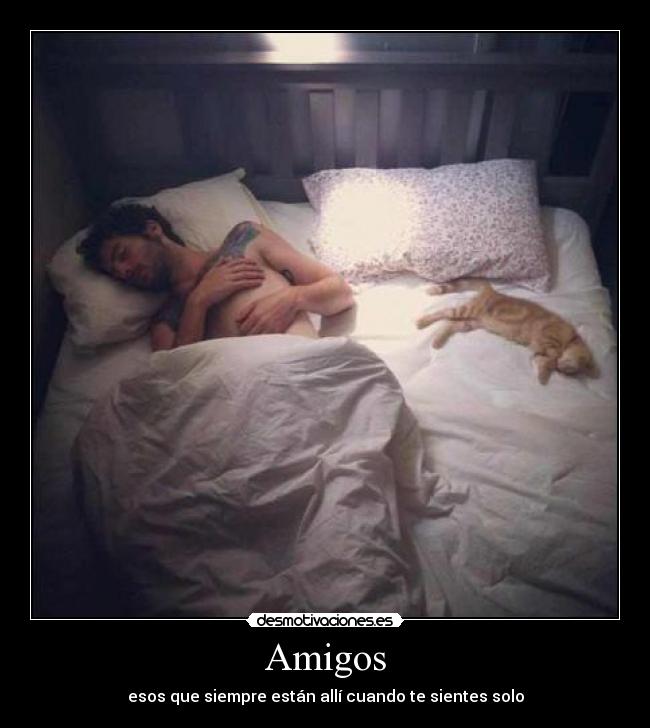 Amigos - esos que siempre están allí cuando te sientes solo