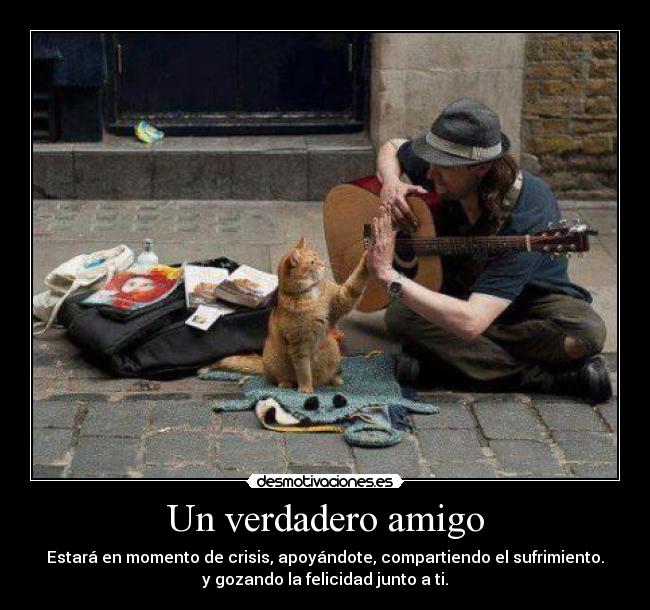 Un verdadero amigo -