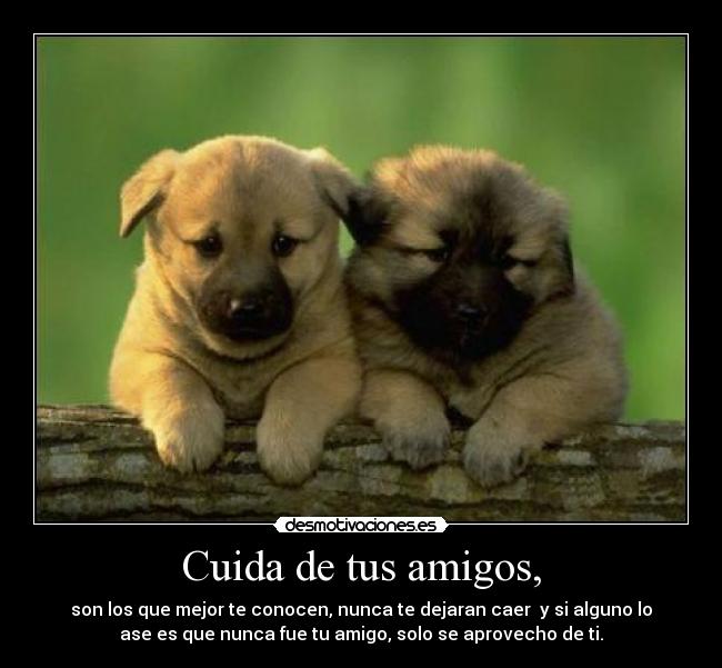 carteles amigos adrian62i desmotivaciones