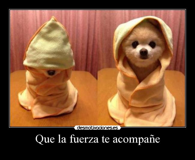 Que la fuerza te acompañe -