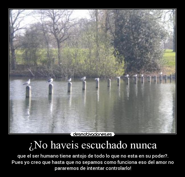 ¿No haveis escuchado nunca -