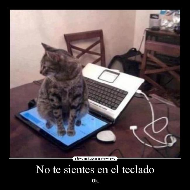 No te sientes en el teclado - Ok.