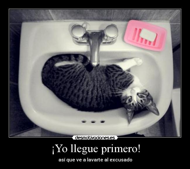 ¡Yo llegue primero! - así que ve a lavarte al excusado