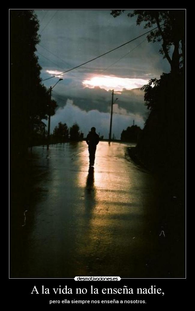 A la vida no la enseña nadie, - 