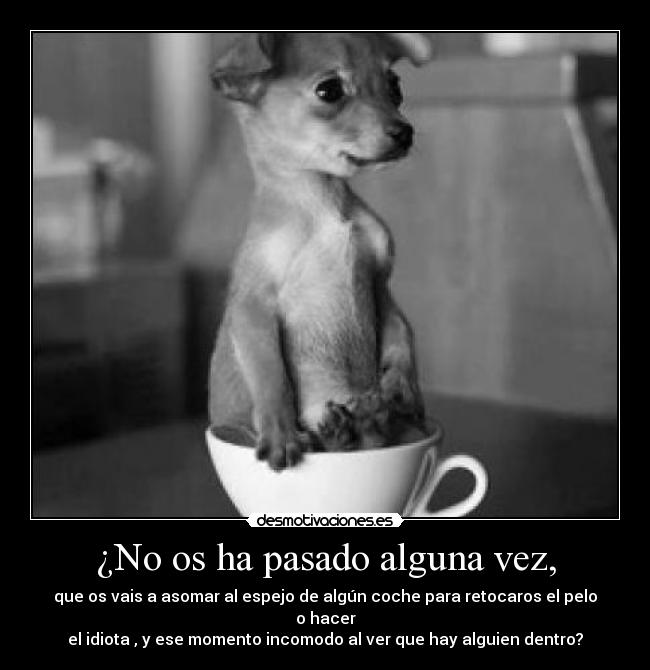¿No os ha pasado alguna vez, - que os vais a asomar al espejo de algún coche para retocaros el pelo o hacer
el idiota , y ese momento incomodo al ver que hay alguien dentro?