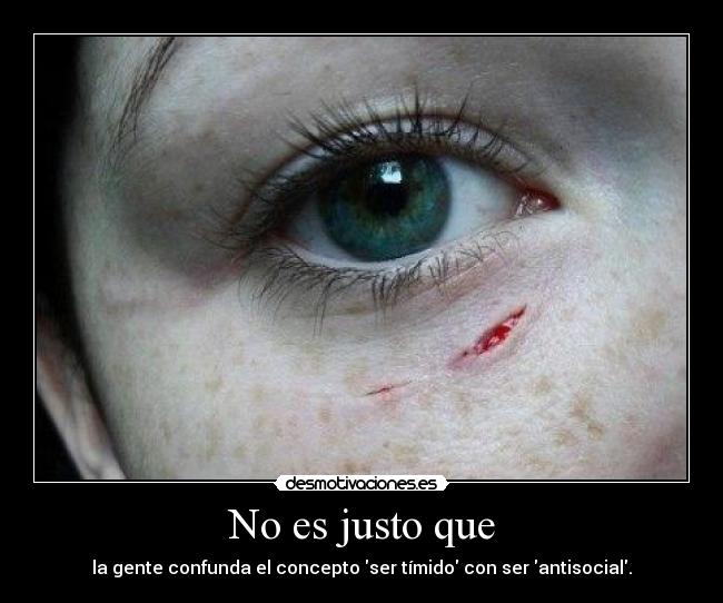 carteles si son unos cabrones desmotivaciones